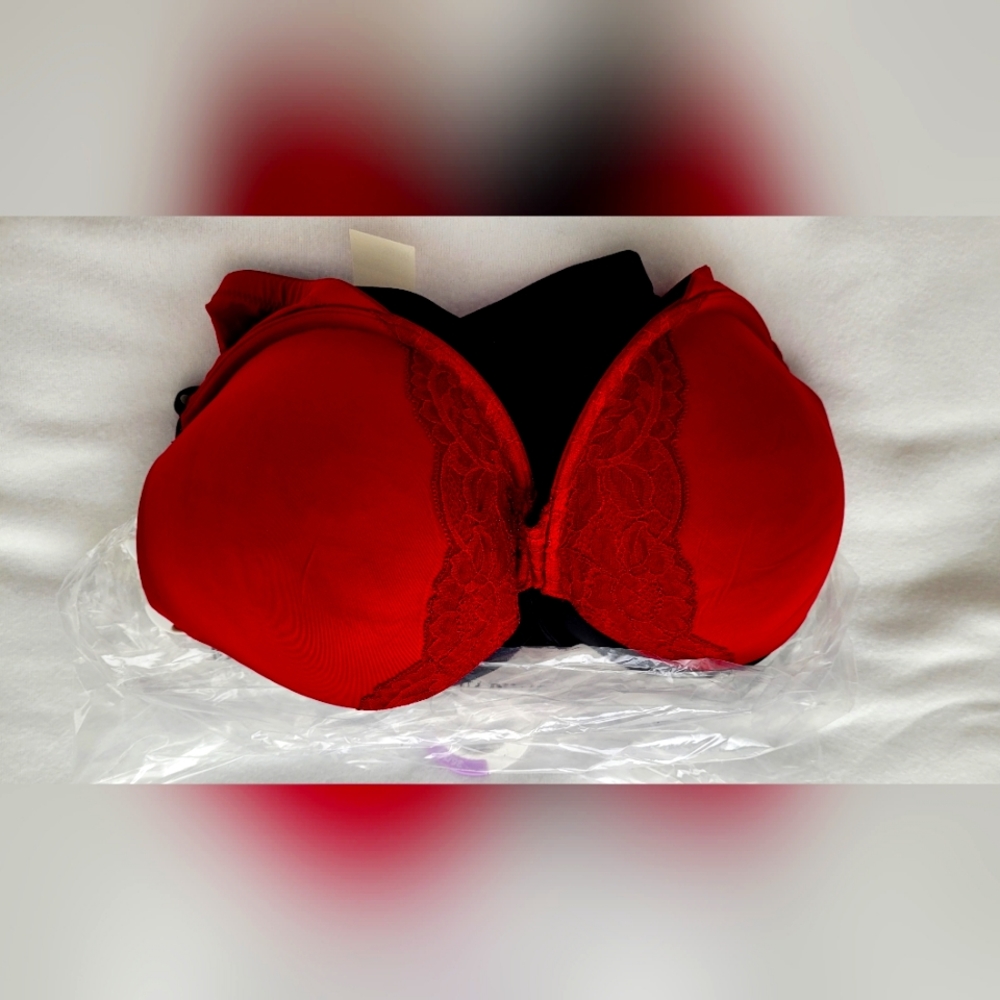 NWT 2-Bra Set, Padded Plungr T-shirt Bra, Convert to Criss Cross. Sz 36DD